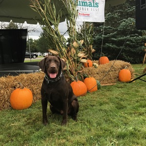 Team Page: Charlie’s Crew